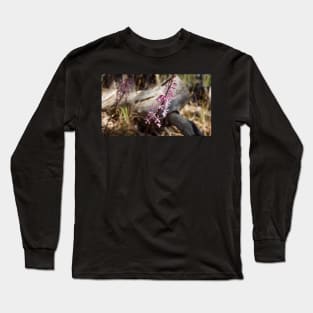 Hyacinth Orchids - Magpie Springs - Adelaide Hills - Fleurieu Peninsula - South Australia Long Sleeve T-Shirt